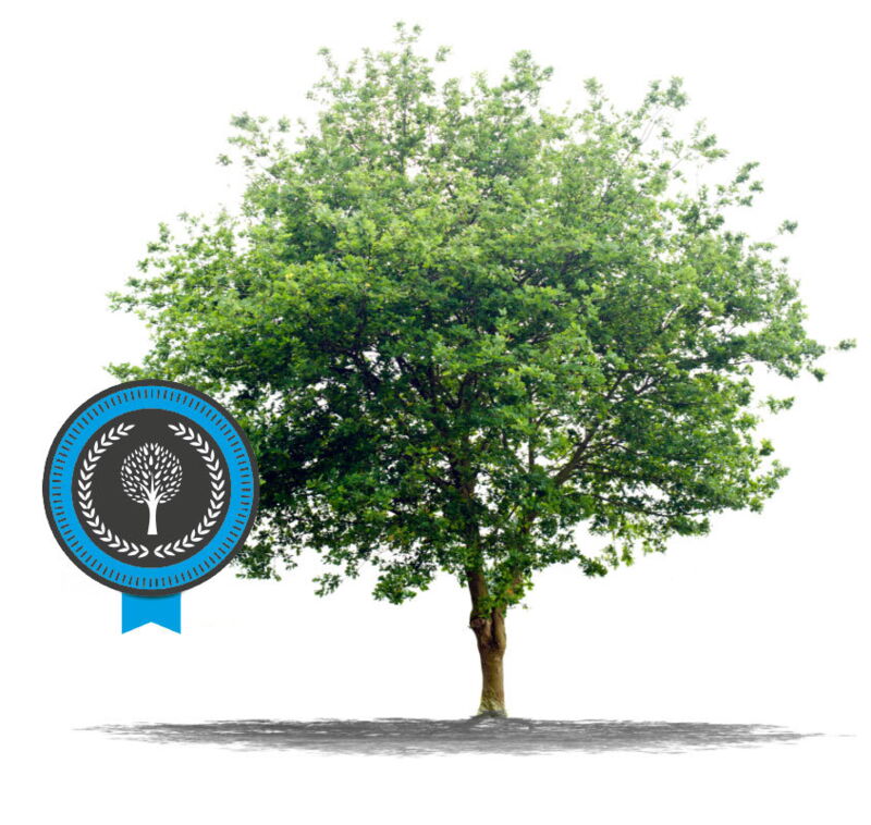 nachhaltige-ausbildung-fuer-die-umwelt-bei-der-fahrschule-gronemeier-hennemann-unterwegs-in-dortmund plus Zertifikat