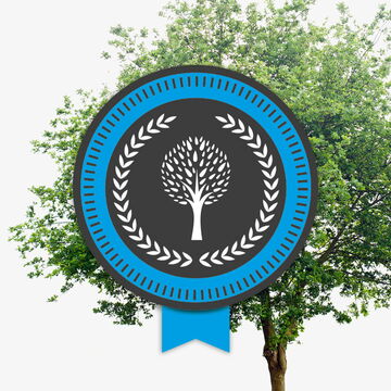 Nachhaltige Fahrschule Dortmund: Für jeden bestandenen Führerschein pflanzen wir einen Baum in der Region